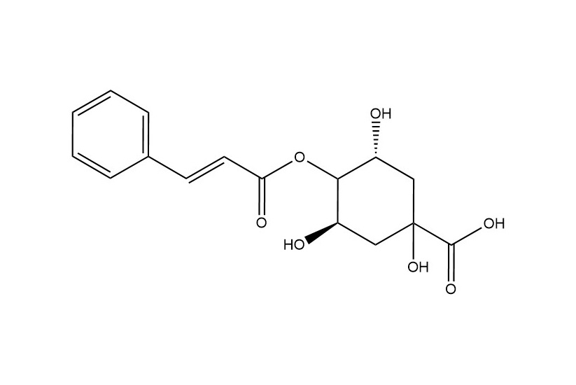 4-O-肉桂?？鼘幩醸5509-70-6