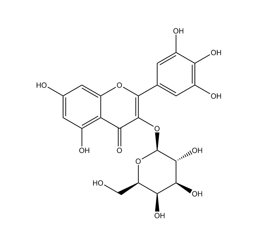 楊梅素-3-O-半乳糖苷|15648-86-9